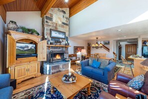 TV, fireplace, video games, DVD player