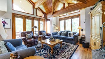 TV, fireplace, video games, DVD player