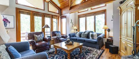 Télévision, cheminée, jeux vidéo, lecteur de DVD