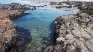 En stenig kustlinje med klart vatten, byggnader i bakgrunden och en person som promenerar på stranden.