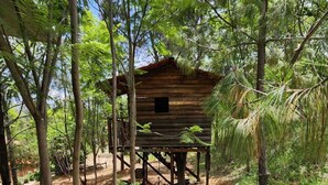 A rustic wooden cabin elevated on stilts surrounded by dense greenery. - Hotel El Refugio Campestre (Oaxaca)