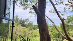 A view from a window with a large tree and potted plants in the foreground, and a grassy landscape with trees in the background. - Hotel El Refugio Campestre (Oaxaca)