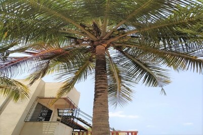 CHINTAMANI BUNGALOW.