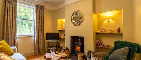 TV connectée, cheminée, lecteur de DVD, livres