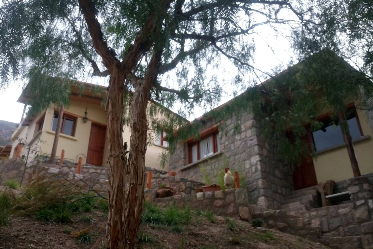 A stone building with a large tree in front, a small staircase, and a window with a view.