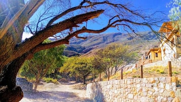 Hiên