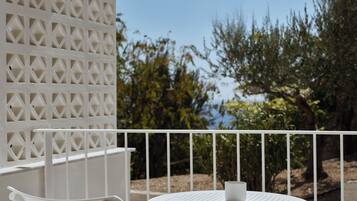 Deluxe Room with Garden View | Terrace/patio