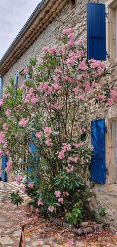 A charming mas in Drôme provençale, a true family home