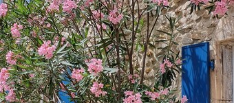 A charming mas in Drôme provençale, a true family home