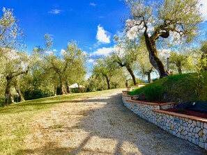 Garden - Villa Nocri (Montefranco)