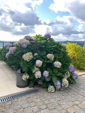 Um jardim com arbustos de hortênsia, um vaso de metal e um caminho de pedra.