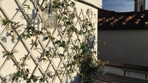 A white wall with a climbing plant and a wooden bench. - Duomo View Rooftop Terrace - Bright & Quiet 3 Bedroom 2 Bath (Firenze)