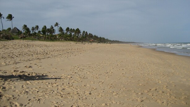 A wide sandy beach with footprints, palm trees, and a clear sky. - Pousada Pêlo De Imbassai (Mata de São João)
