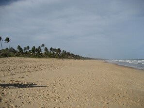 Ubicación cercana a la playa y 5 bares en la playa