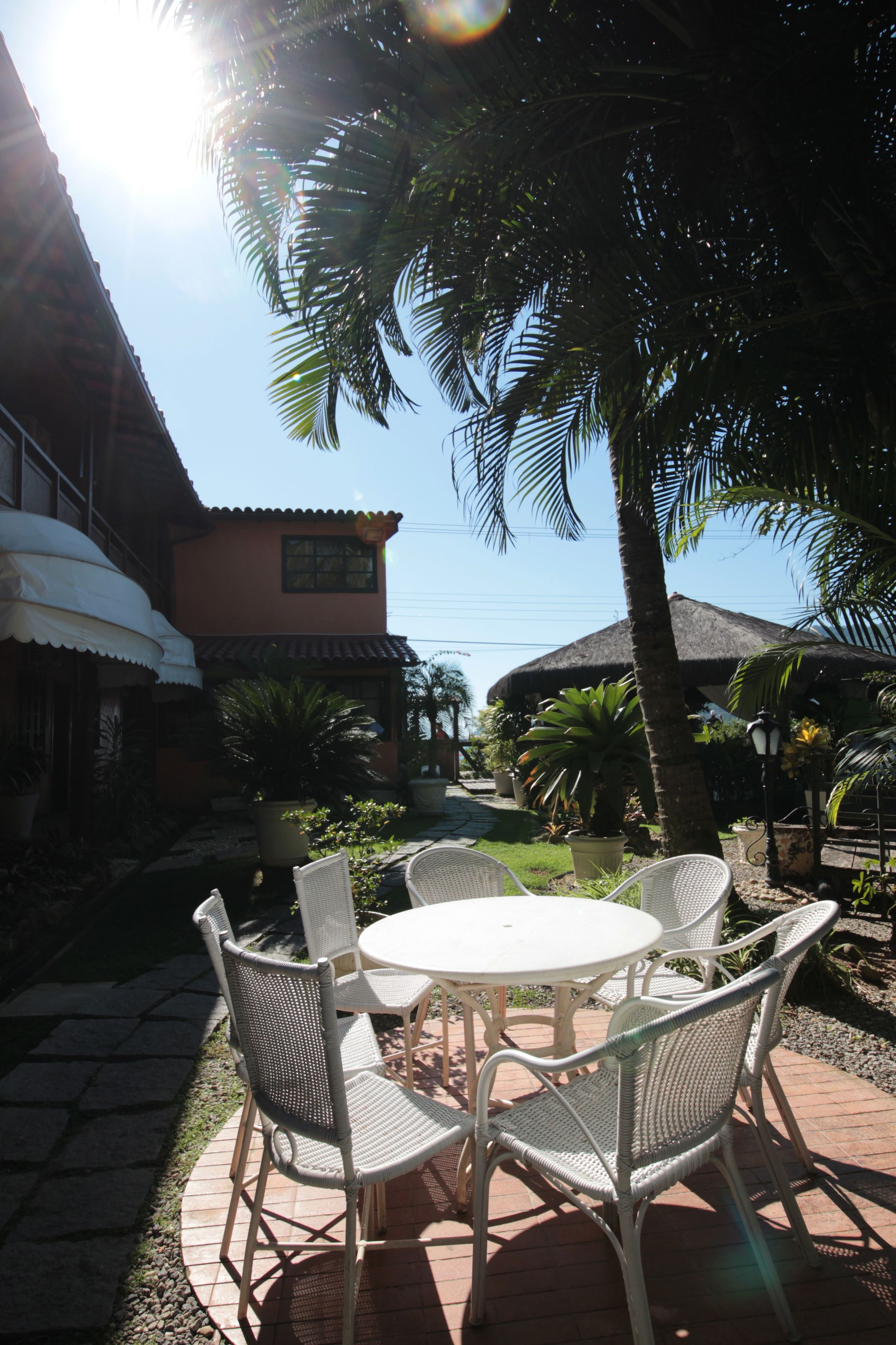 A patio with a round table and four chairs, surrounded by potted plants and palm trees.