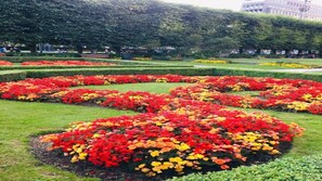 Overnattingsstedets uteområder