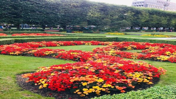 Property grounds - Hello welcome (Oslo)