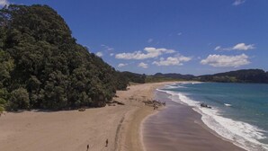 Una playa con una orilla arenosa y una colina boscosa al fondo.