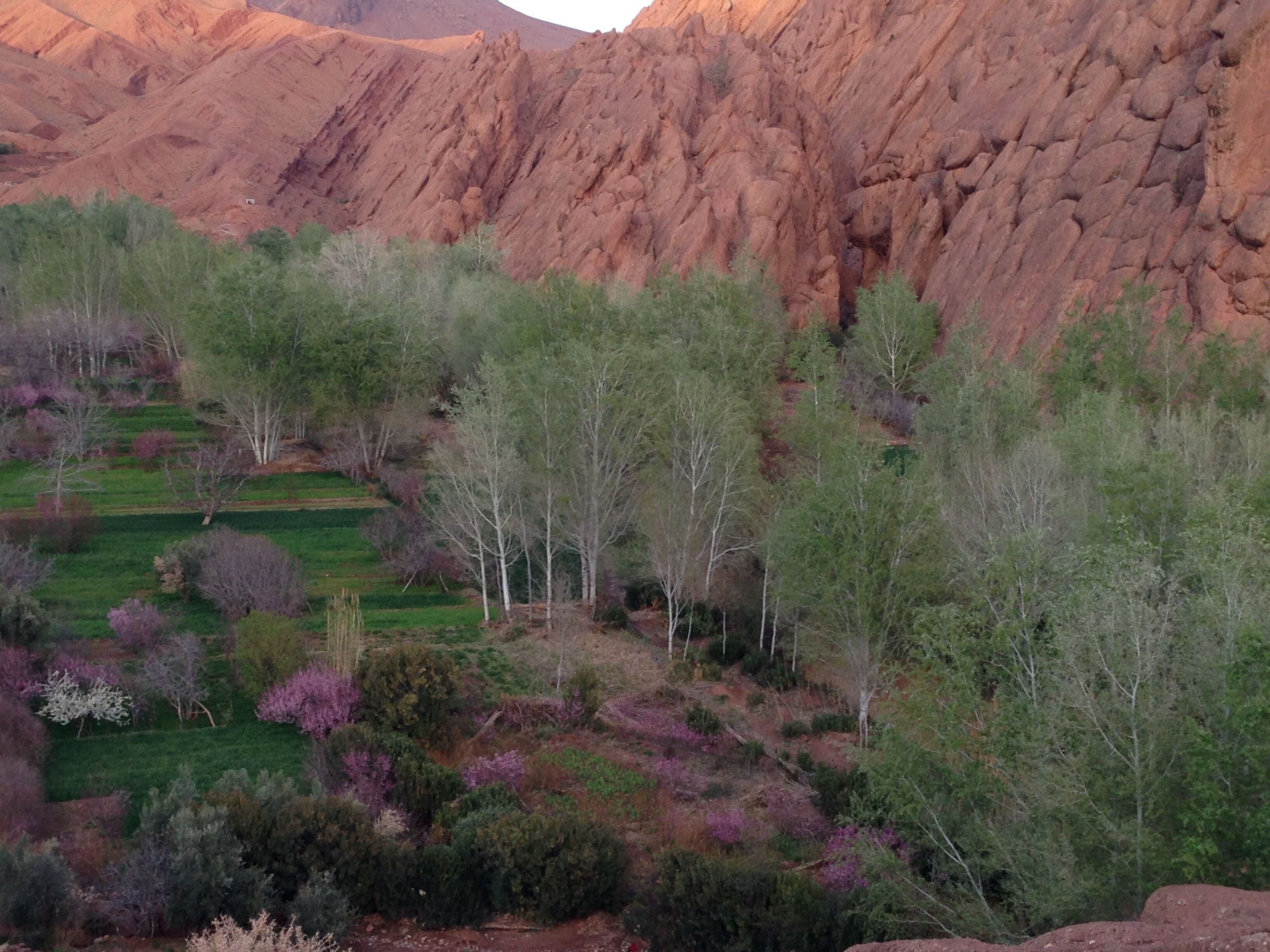 A mountainous landscape with a valley.