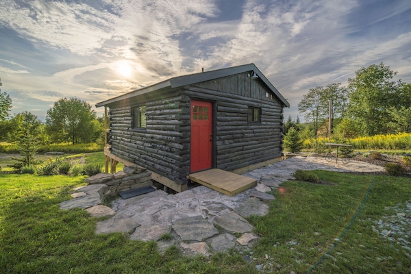 Your cabin features two queen beds and large bathroom with double sinks.