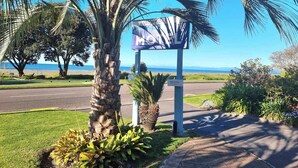 Vista à beira da estrada com uma palmeira, uma placa de sinalização e a imensidão do oceano.
