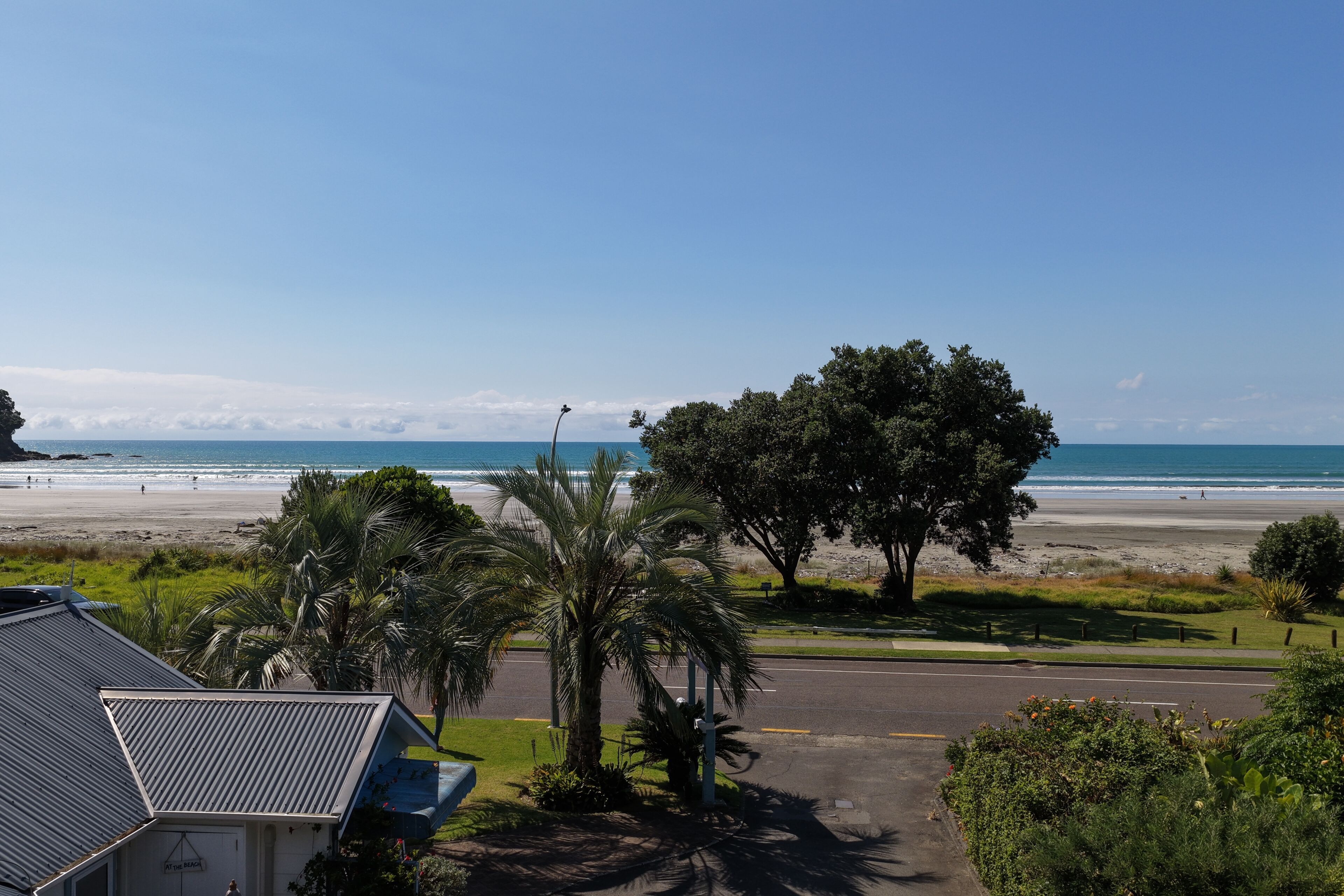 Zona residencial con vista a la playa, una calle y un árbol grande.
