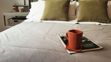 2 bedrooms, soundproofing, iron/ironing board, WiFi