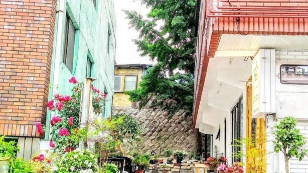 A narrow alleyway with potted plants and flowers on both sides, leading to a stone wall and a building with a tiled roof. - Sudabang Guesthouse - Hostel (Mokpo)