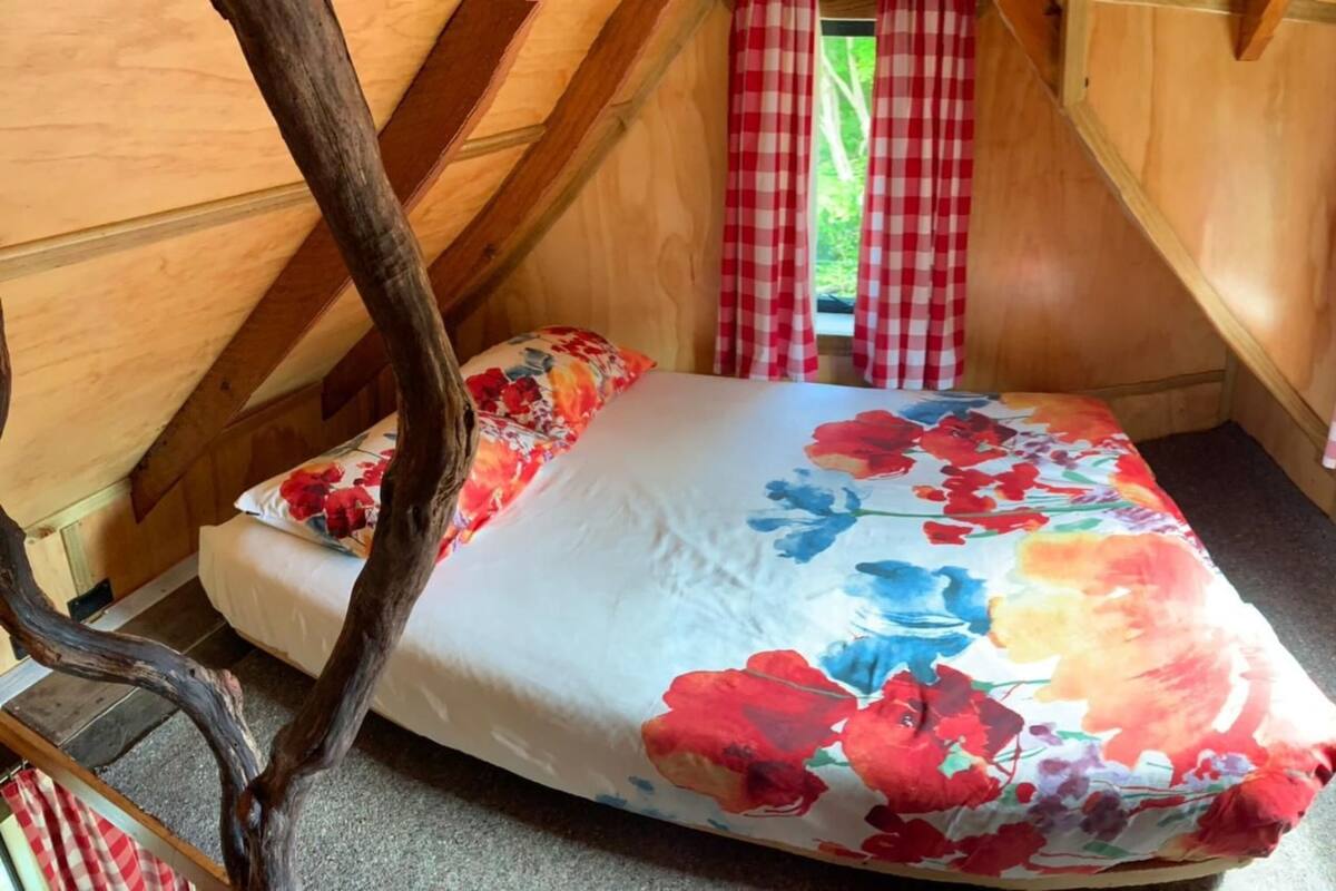 A cozy, wooden cabin room with a bed, checkered curtains, and a window.