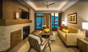 Tv, eldstad, dvd-spelare och en stereo