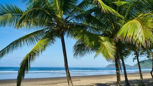 A beach with palm trees and a clear view of the ocean. - Lovely Mountain View Apartment (Jacó)