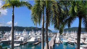 A marina with numerous boats docked, surrounded by palm trees and a clear blue sky. - Lovely Mountain View Apartment (Jacó)