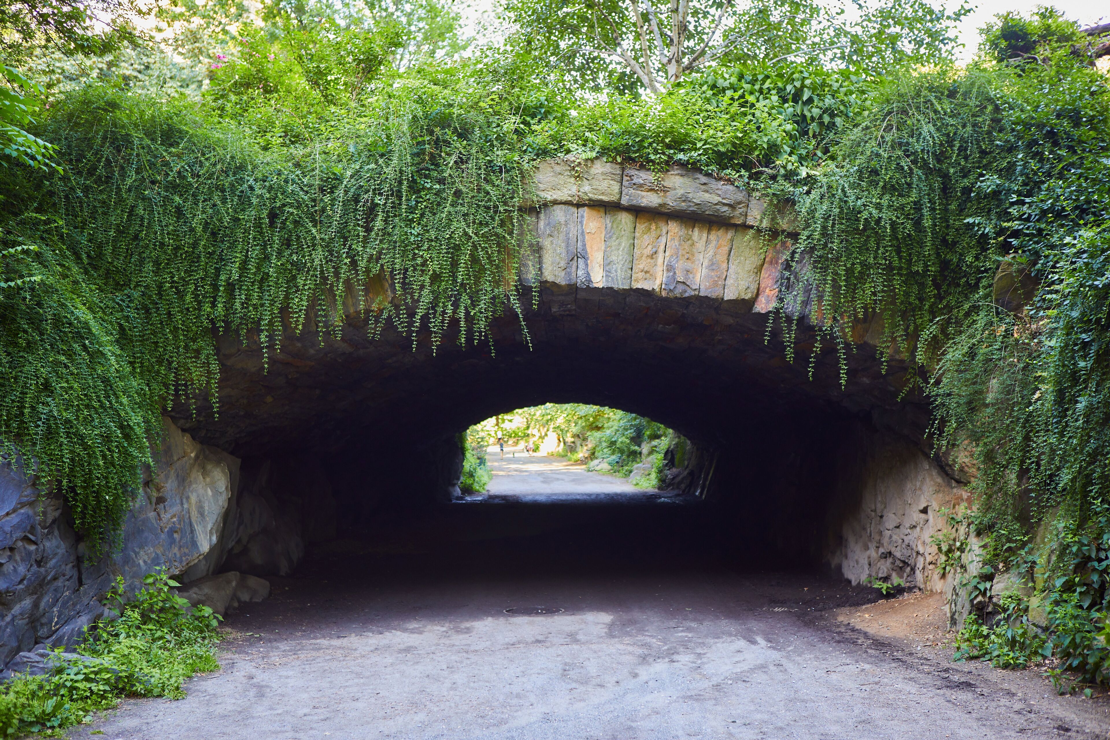 Photo - 5th & 55th Residence Club