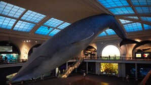 A spacious indoor area with a large whale sculpture, a glass ceiling, and multiple levels with people walking around. - 5th & 55th Residence Club (New York)