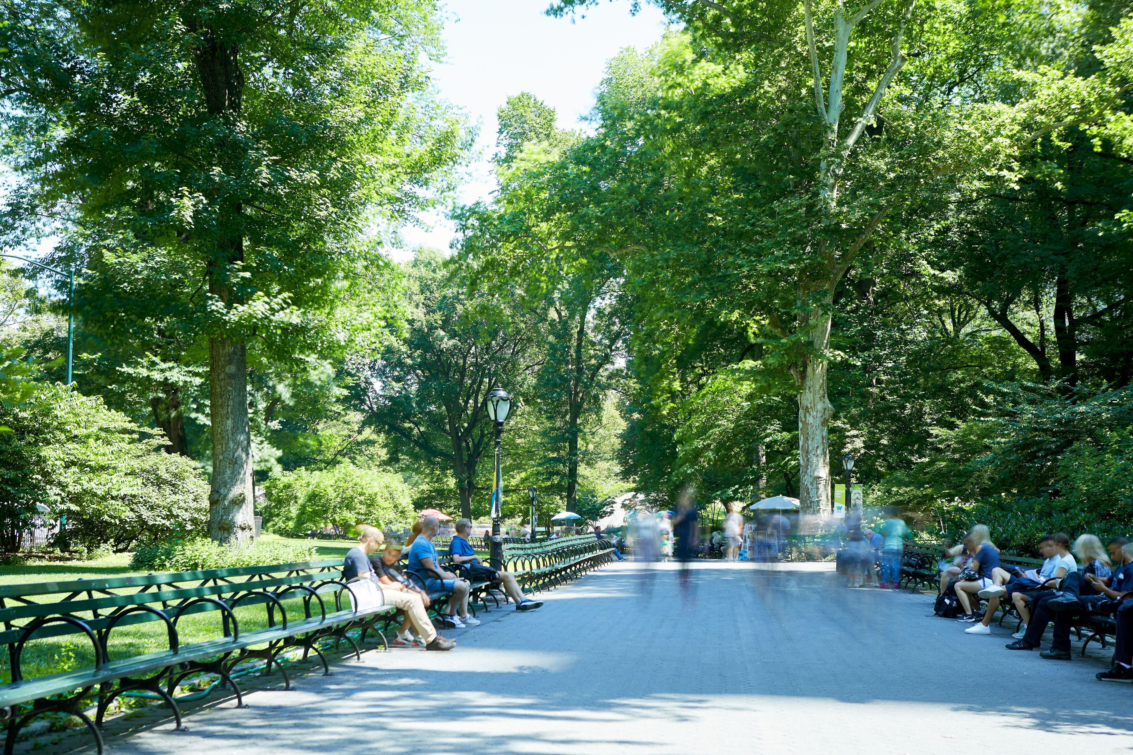 Photo - 5th & 55th Residence Club