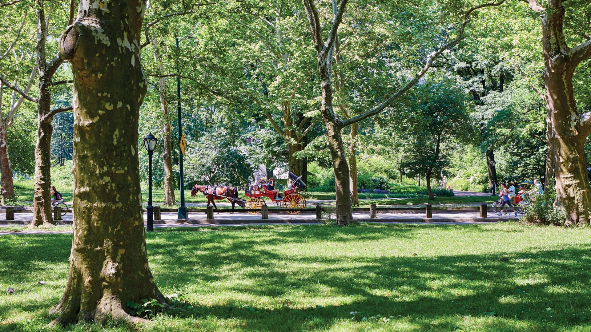 Photo - 5th & 55th Residence Club