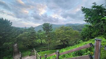 Un puente de madera que conduce a un jardín en terrazas con abundante vegetación y montañas al fondo.