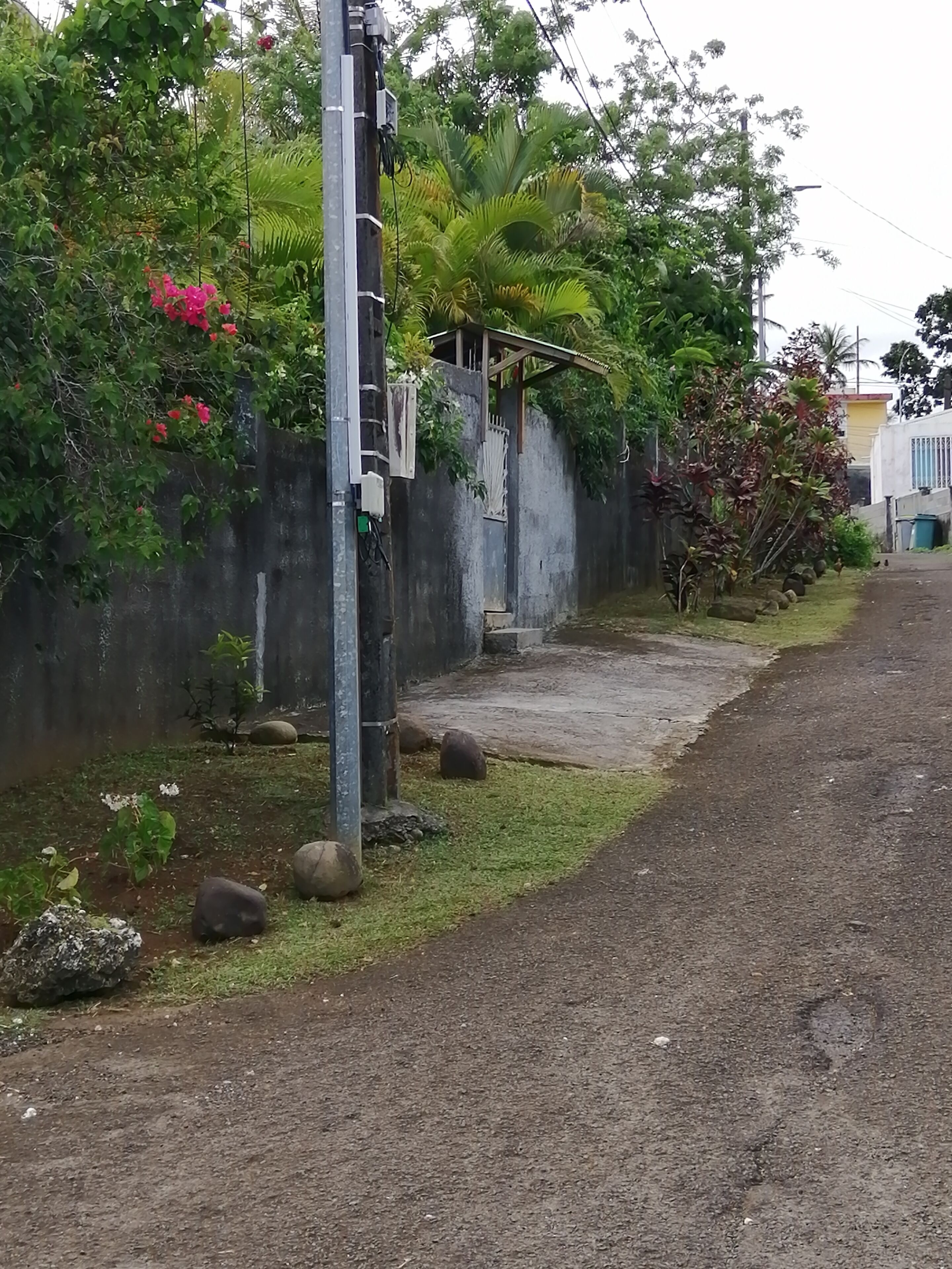 A residential area with a concrete wall, a utility pole, and a pathway.