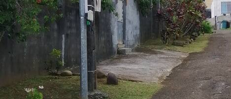 A residential area with a concrete wall, a utility pole, and a pathway.