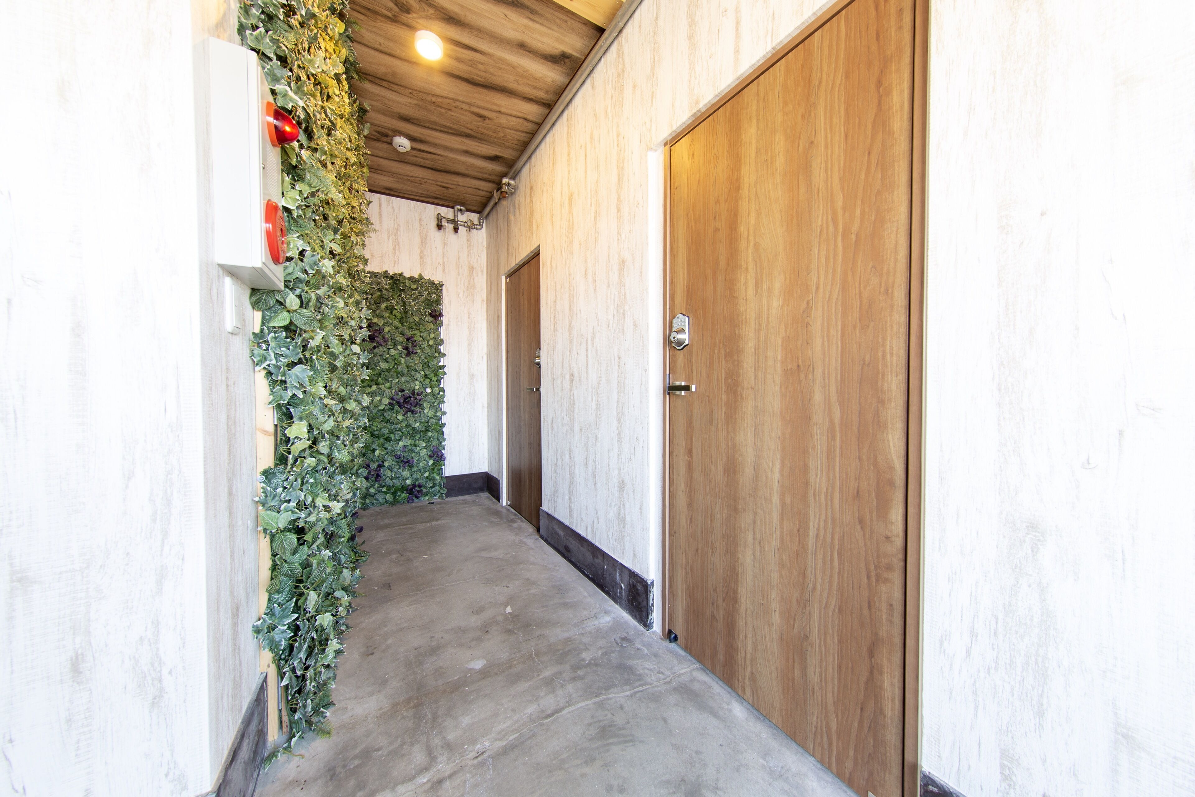 Foto - Guest House GORILLA!