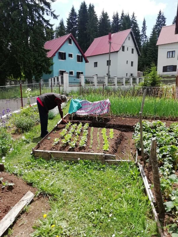 Garden - Accommodation Konak - Hostel (Žabljak)