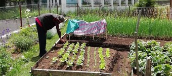 Accommodation Konak - Hostel