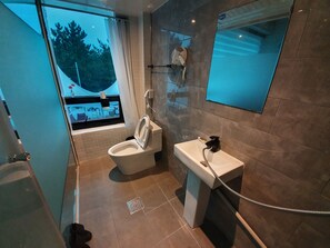 Habitación doble | Baño | Ducha, secador de pelo, jabón y champú