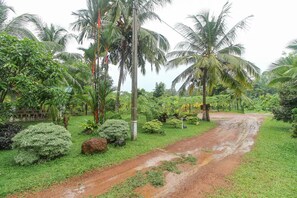 บริเวณภายนอก