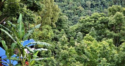 Jungle Crown Organic Homestay