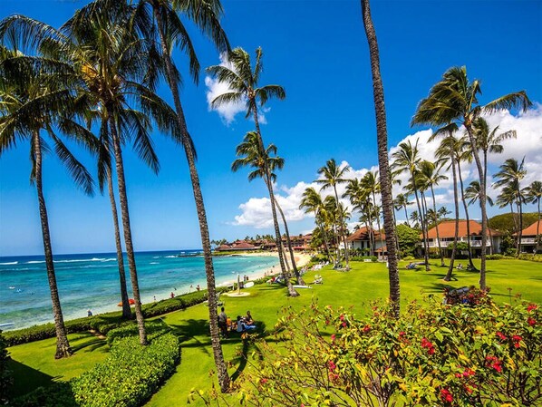 Property grounds - Enjoy Tropical Garden Views w/ AC, WiFi, TVs, and Full Kitchen+Lanai–Kiahuna 2046 (KOLOA)