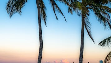 Sun loungers, beach towels