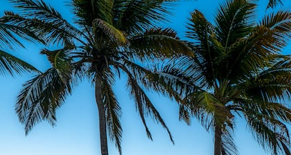Don Julio's Beach Studio