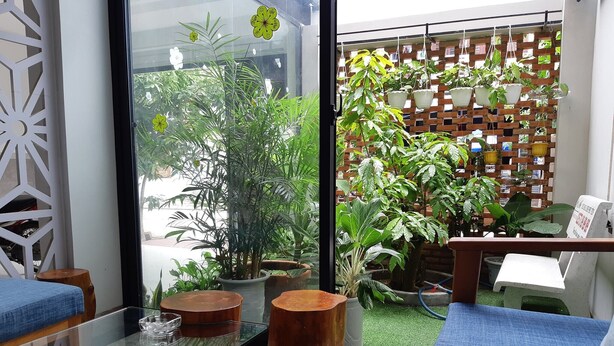 A modern living room with a glass coffee table, wooden stools, a sofa, and a variety of potted plants.