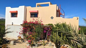A modern building with a flat roof, a small garden with pink flowers, and a clear blue sky.